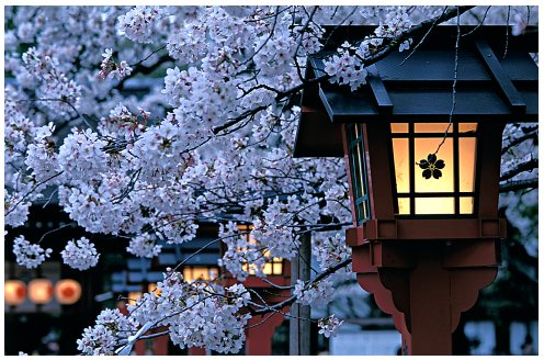 japan 2