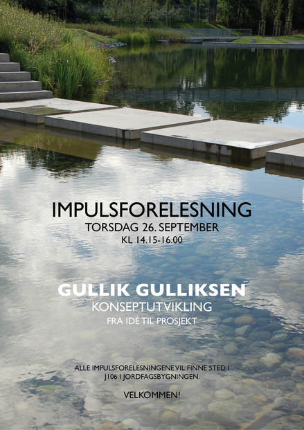 Impuls#9[1]