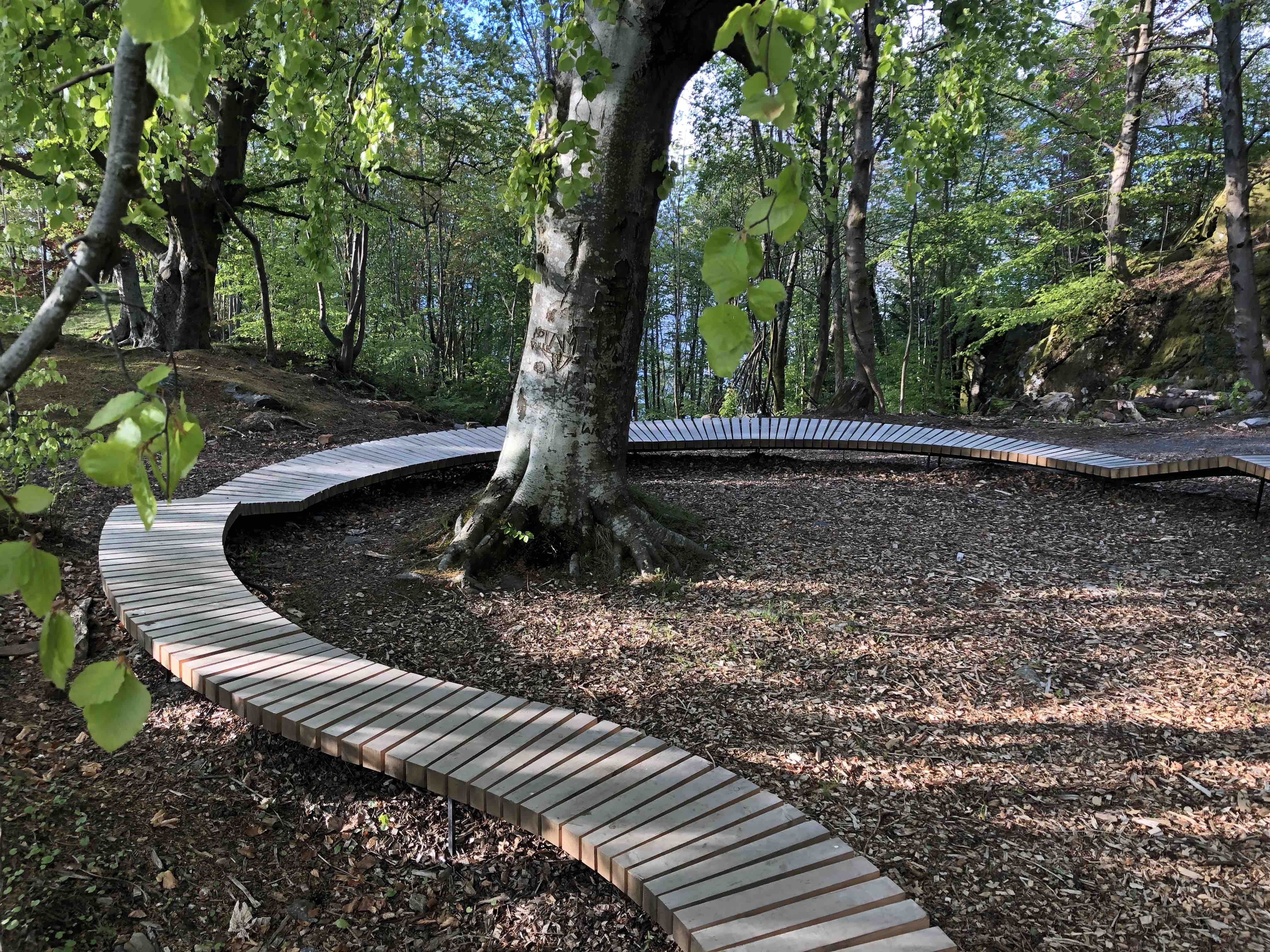 Lyreneset_Foto Inger Hageberg (1)