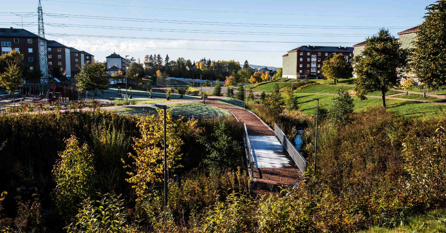 Bjerkedalen p