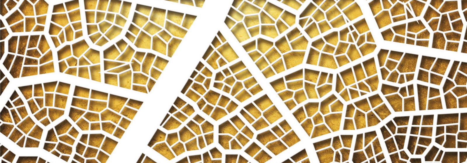 asp-urban-planning-masterpitch-diploma-1600x560