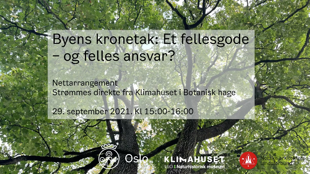 Skjermbilde 2021-09-29 kl. 16.09.51