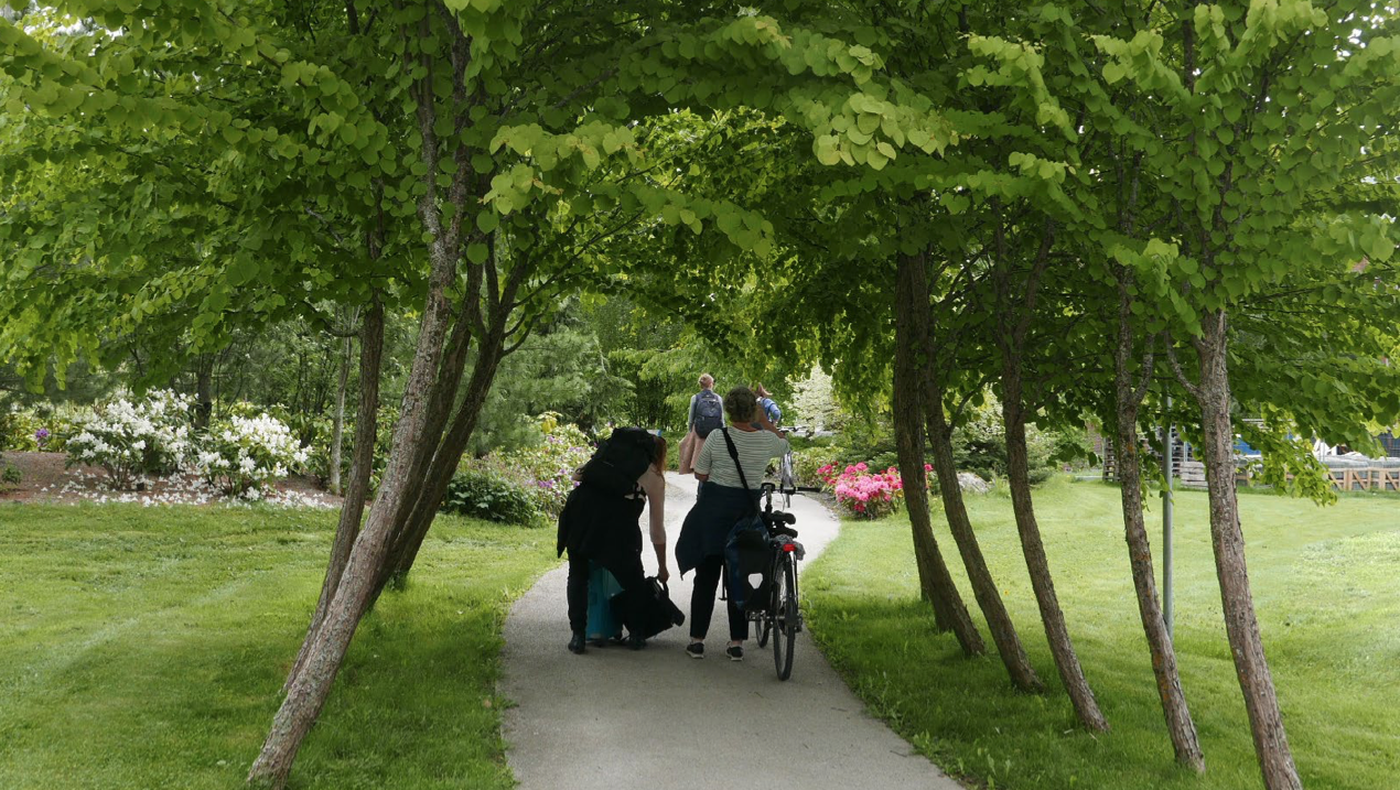 Skjermbilde 2021-03-18 kl. 12.01.39