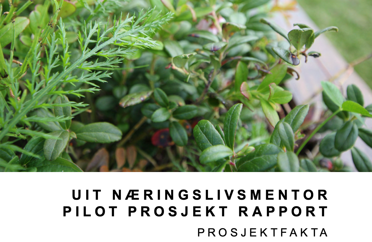 Skjermbilde 2022-03-28 kl. 16.05.17