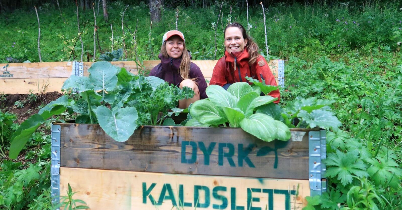 imengine.public.prod.tun.infomaker.io