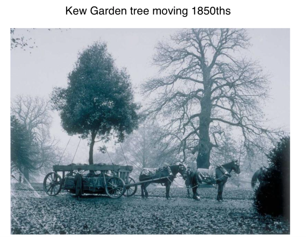 Kew Gardens 1850