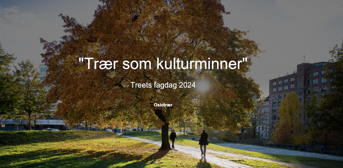 NLA - Treets fagdag - «Trær som kulturminner»