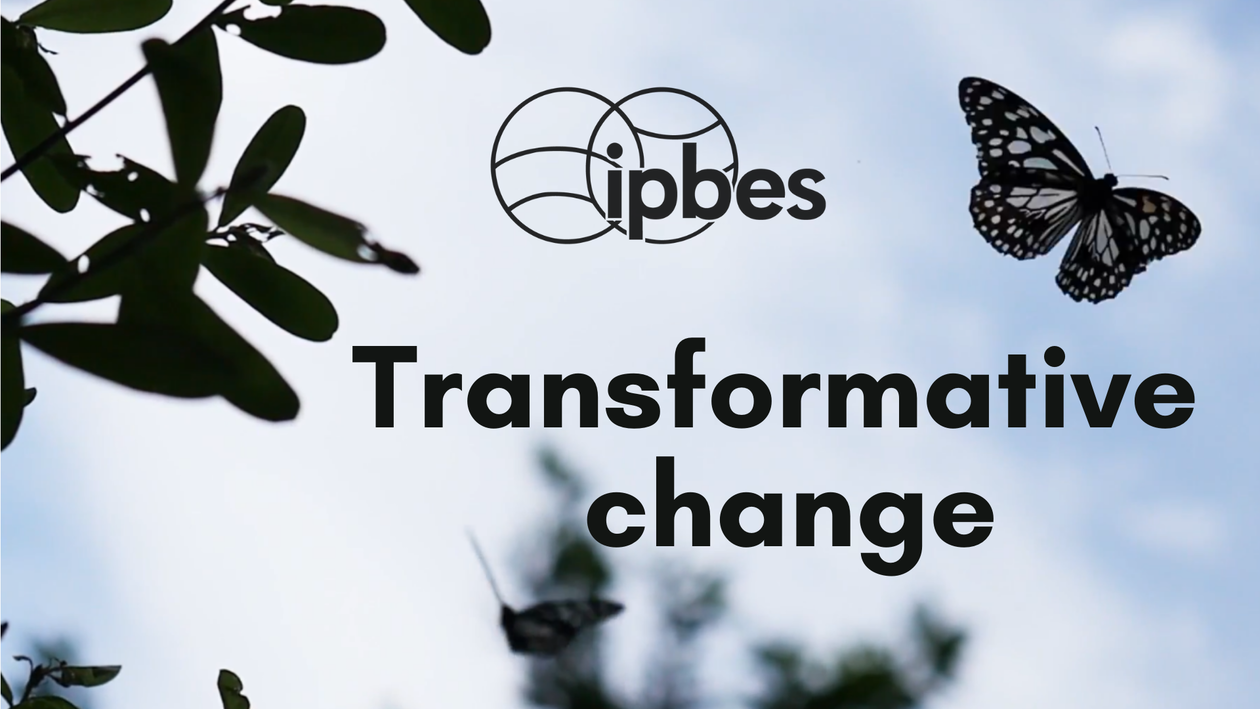 ipbestransformativechange