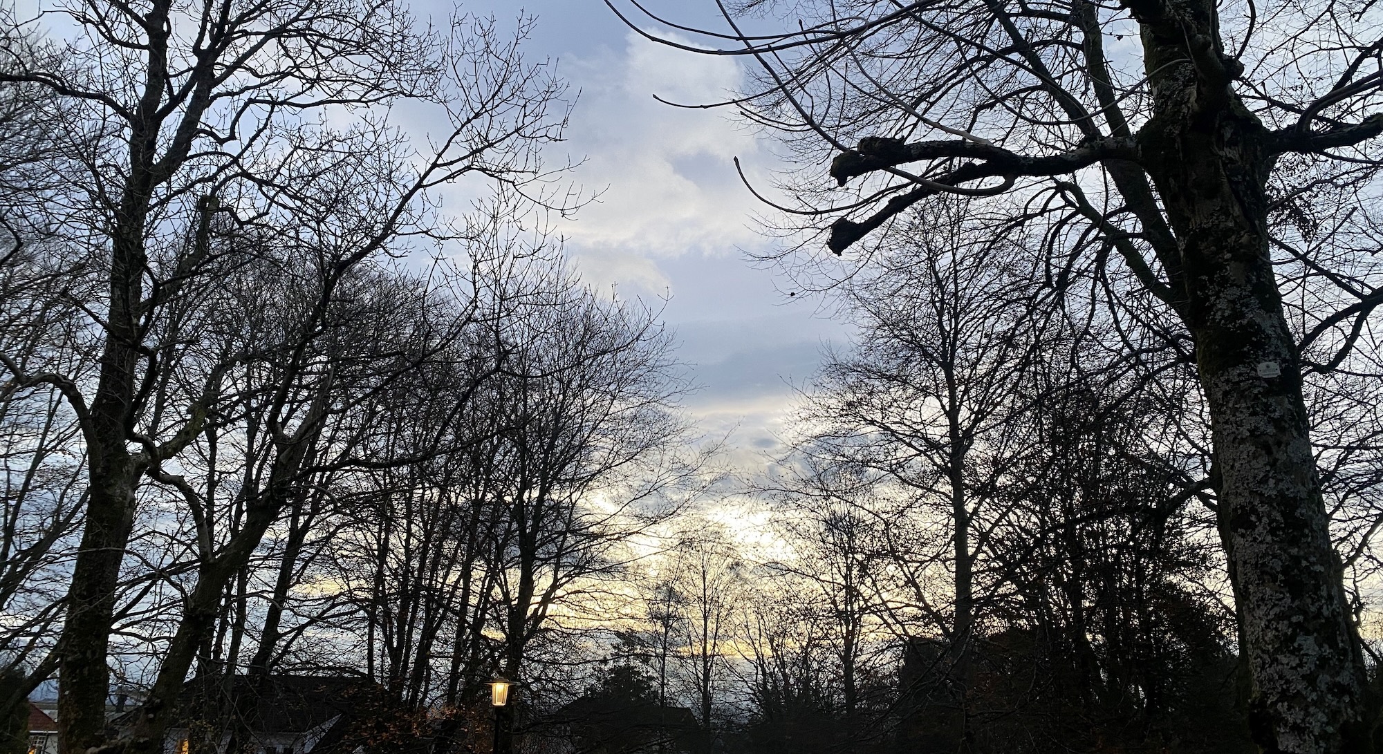 Styrets stemme_på et blunk 2