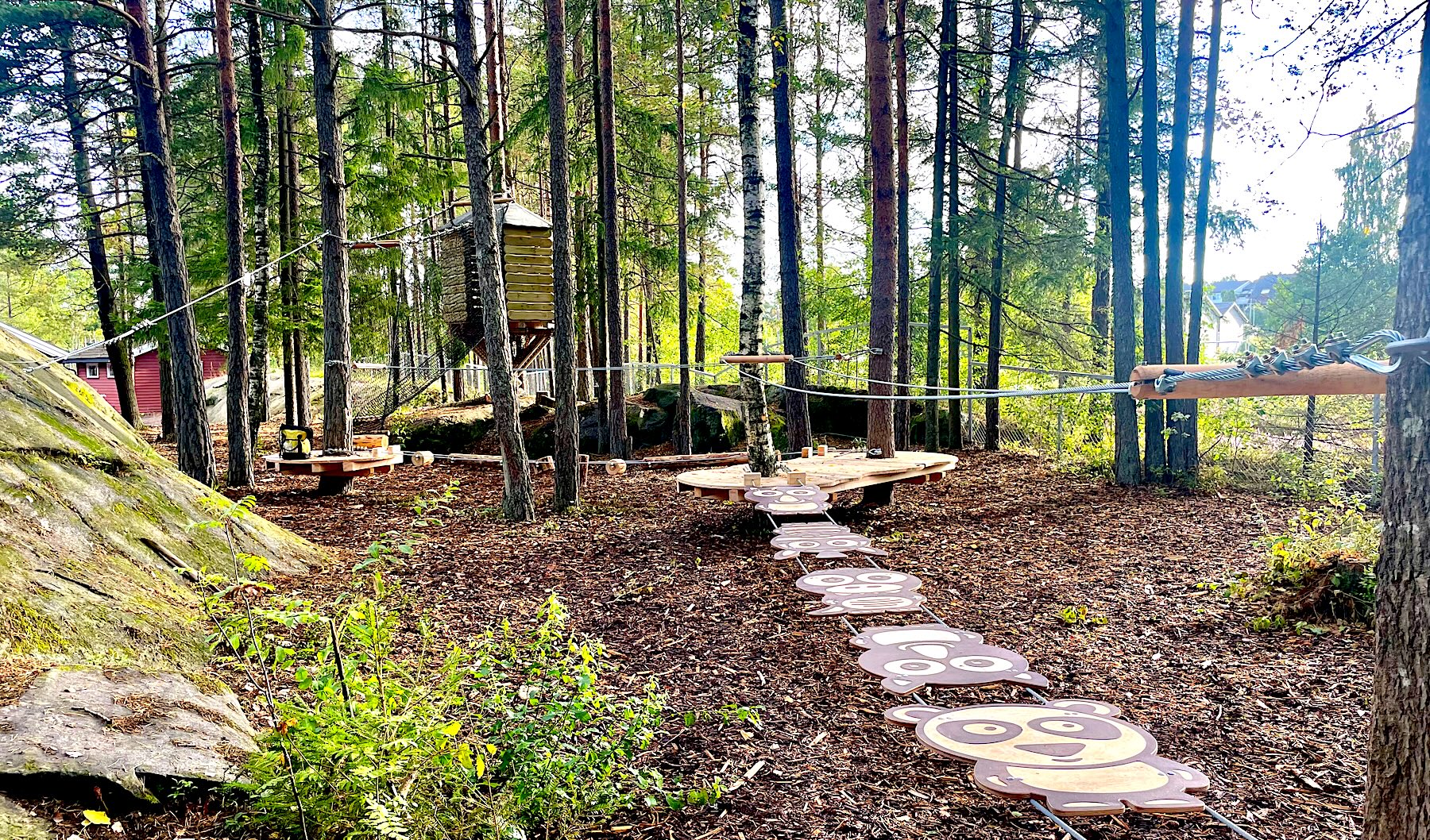 In situ 1_