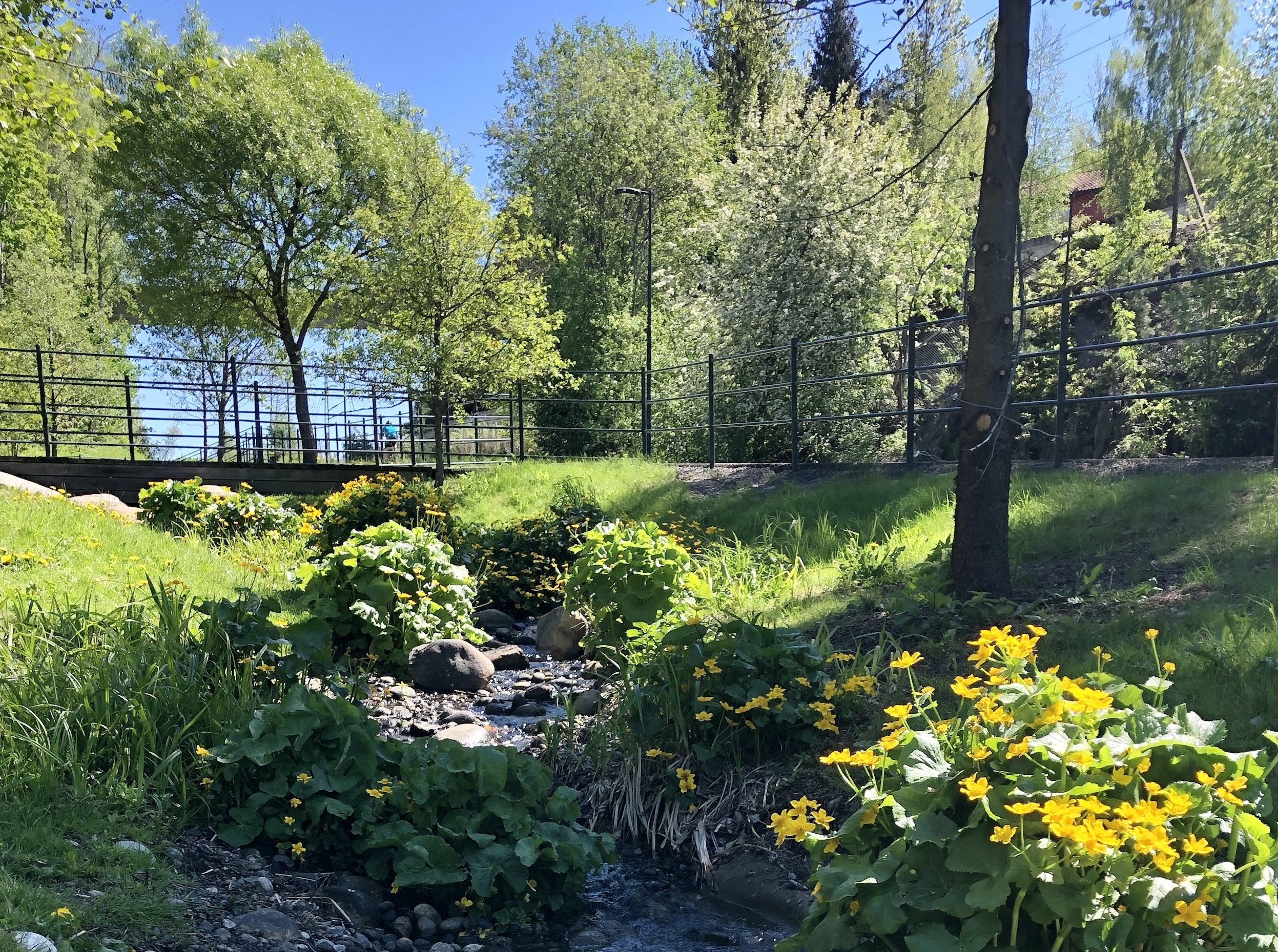 Bygger'n aktivitetspark_Haugenstua_Mona Vestli