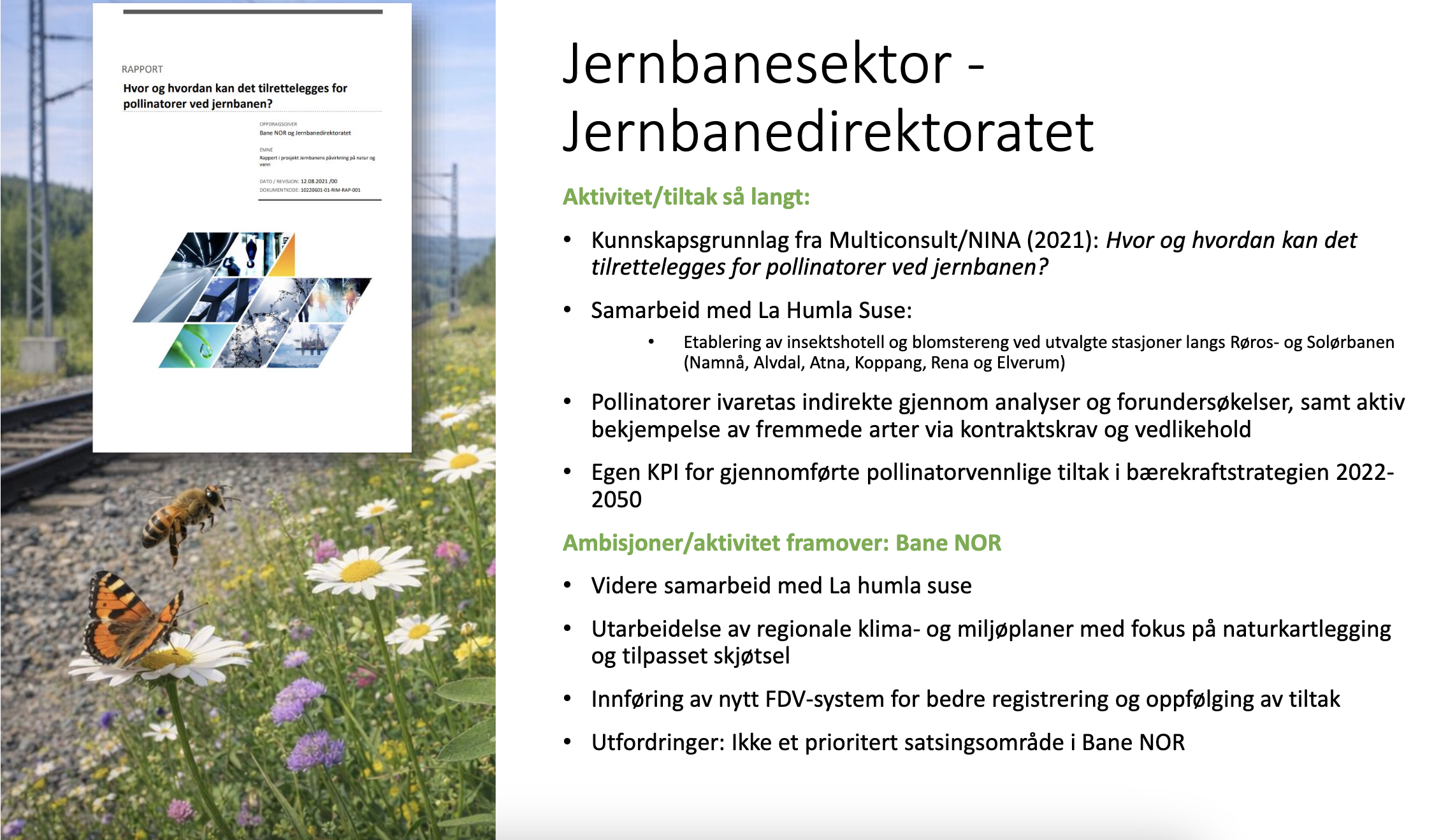 Jernbanedirektoratet_ pollinatorer