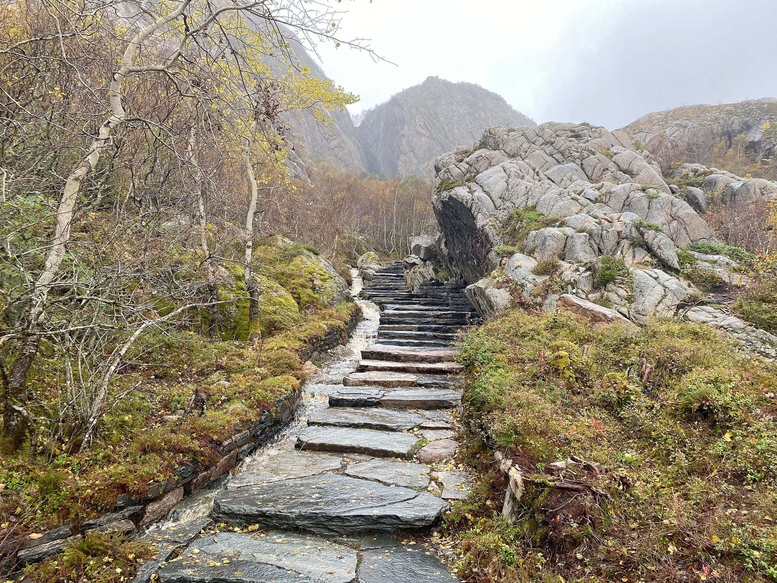 Gapahuken gir naturlig ly_ØstengenBergo