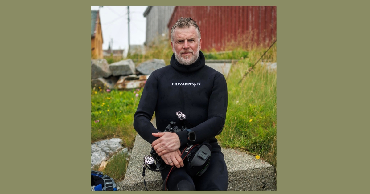 Ocean Forest Media - Aleksander Nordahl