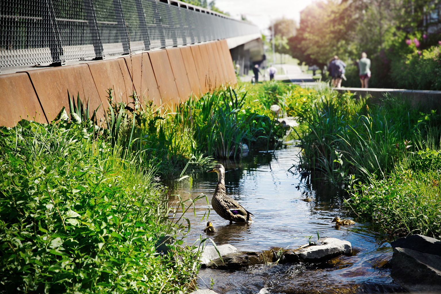 Hovinbekken-4857_Foto Anna-Julia Granberg