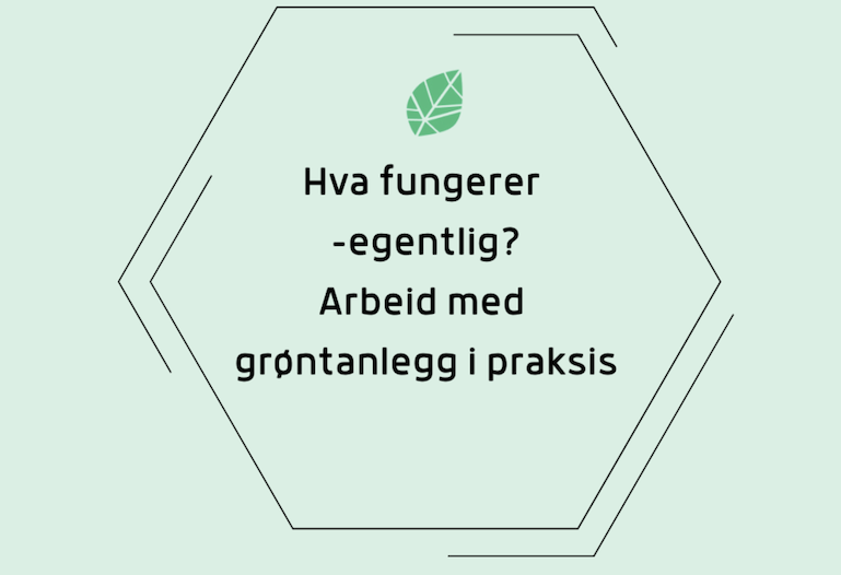 Skjermbilde 2026-01-16 kl. 13.25.36