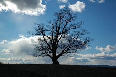 a9ab2fa3-adb5-4e33-b78e-49afb768550e a9ab2fa3-adb5-4e33-b78e-49afb768550e